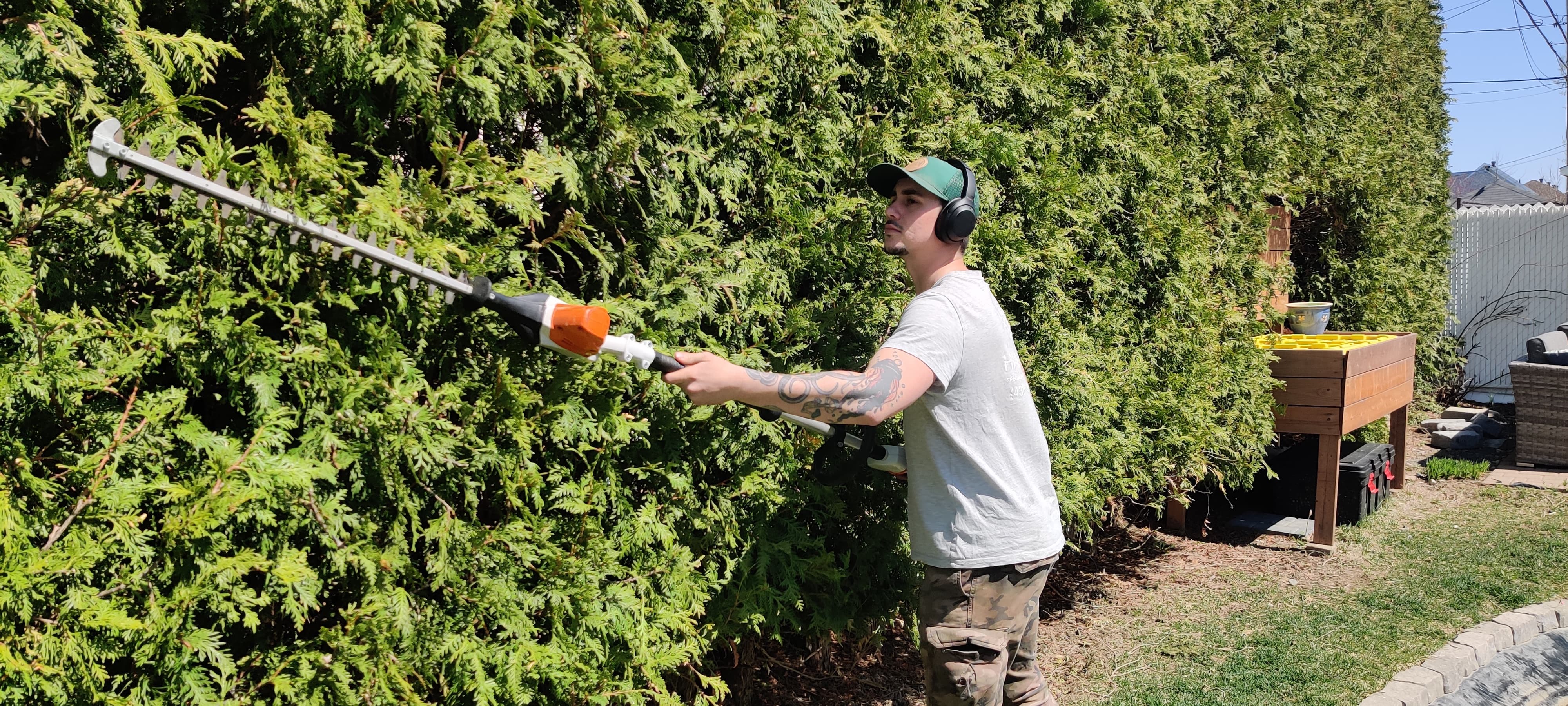 Taille de haies de cèdres Laval | Haie Due